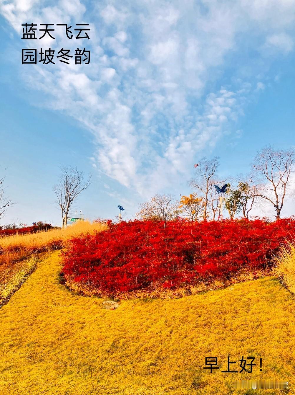 一路山色，随手拍一张风景照