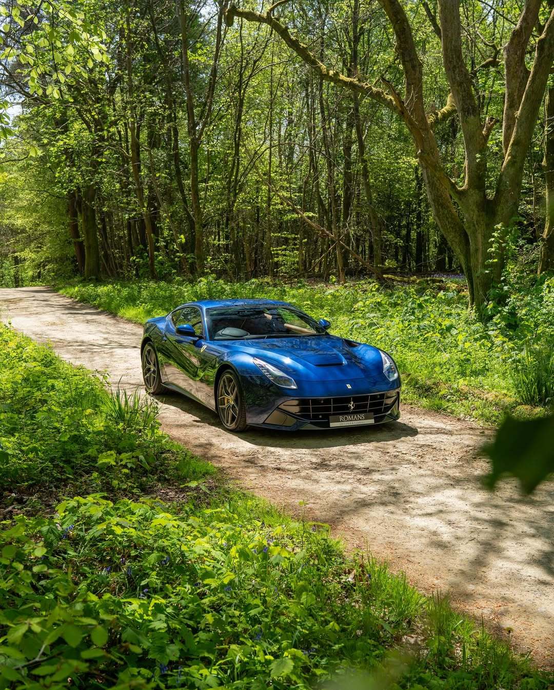 Ferrari F12 ​​​