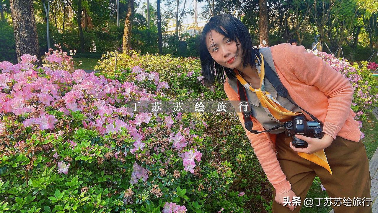 映山红遍福州【杜鹃花博物馆】明天展出‼️3万+杜鹃花展琴亭湖手机随便拍都美！福州