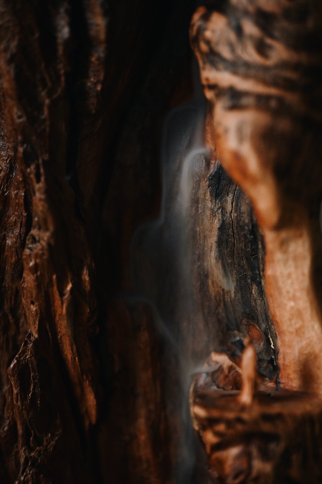 荔枝木 | 禅心入画 倒流香摆件整料随形雕琢，依天然肌理塑就山林幽境。画面中文士