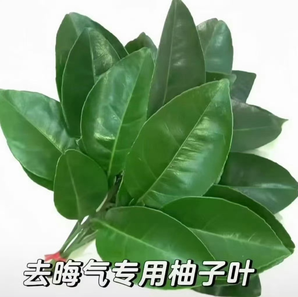 咱就是说我就养🎺蹭个🔥搜ct怎么还能招来深井冰啊