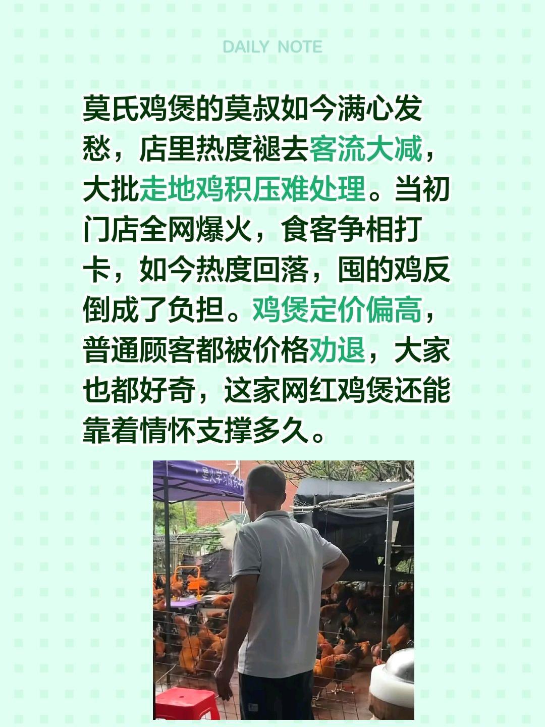 莫叔流量退去，鸡煲还能坚持多久？莫氏鸡煲的莫叔如今满心发愁，店里热度褪去客流大减