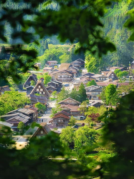 日本小众游！不扎堆人群…每天都是夏日绝境