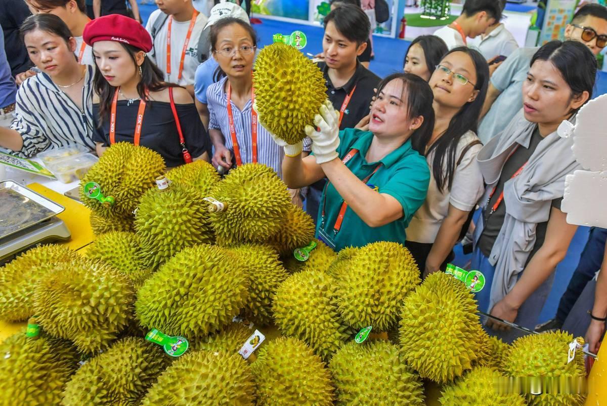 越南榴莲造假闯下大祸，副总理赶到南宁，请中国再给他们一次机会，这场由榴莲引发的贸