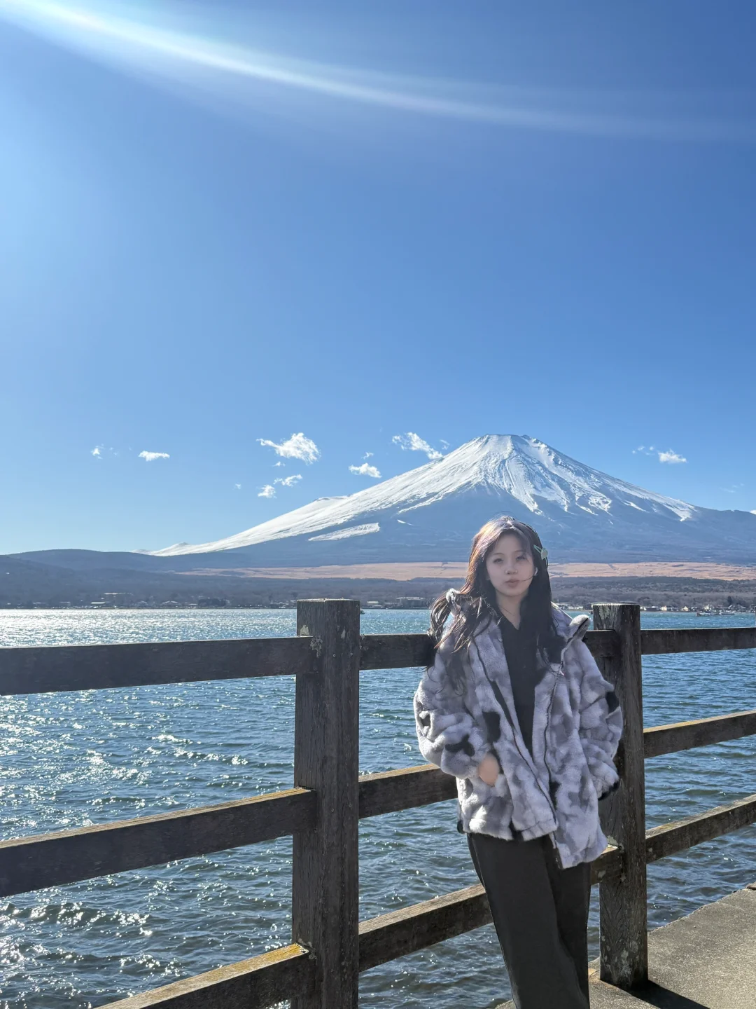 富士山の日