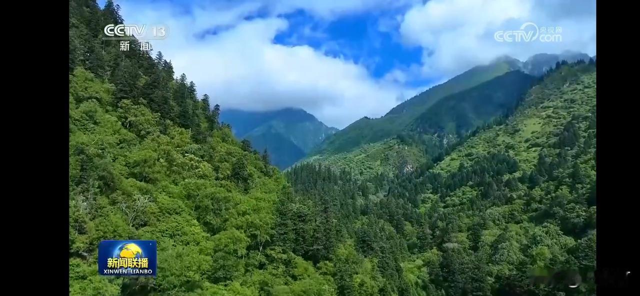 在幸福中经历苦难，
在苦难中谋求解脱，
在解脱中陷入迷茫，
在迷茫中找寻自我。​