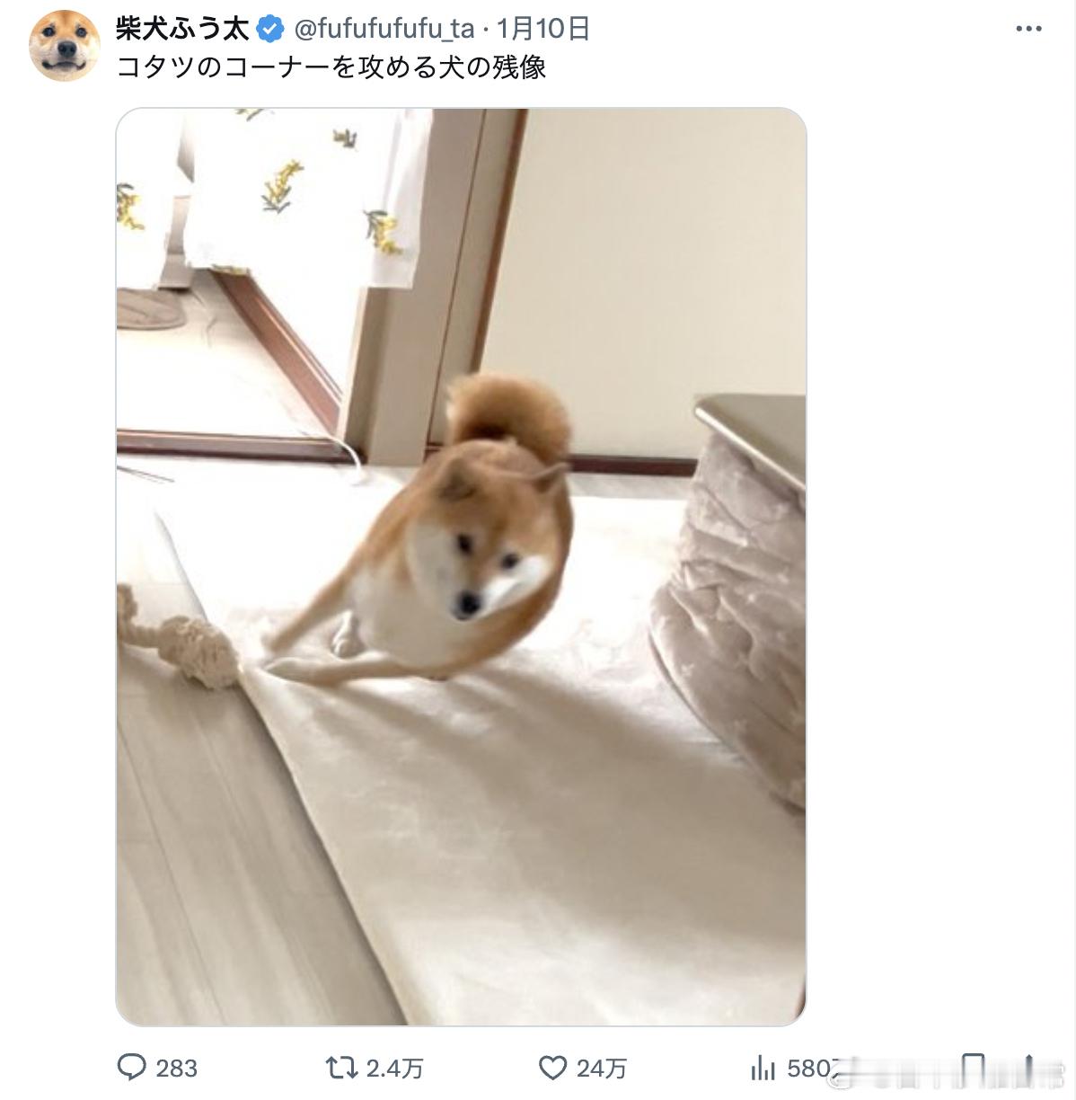 冲向被炉角落的阿柴的残影。[doge] 