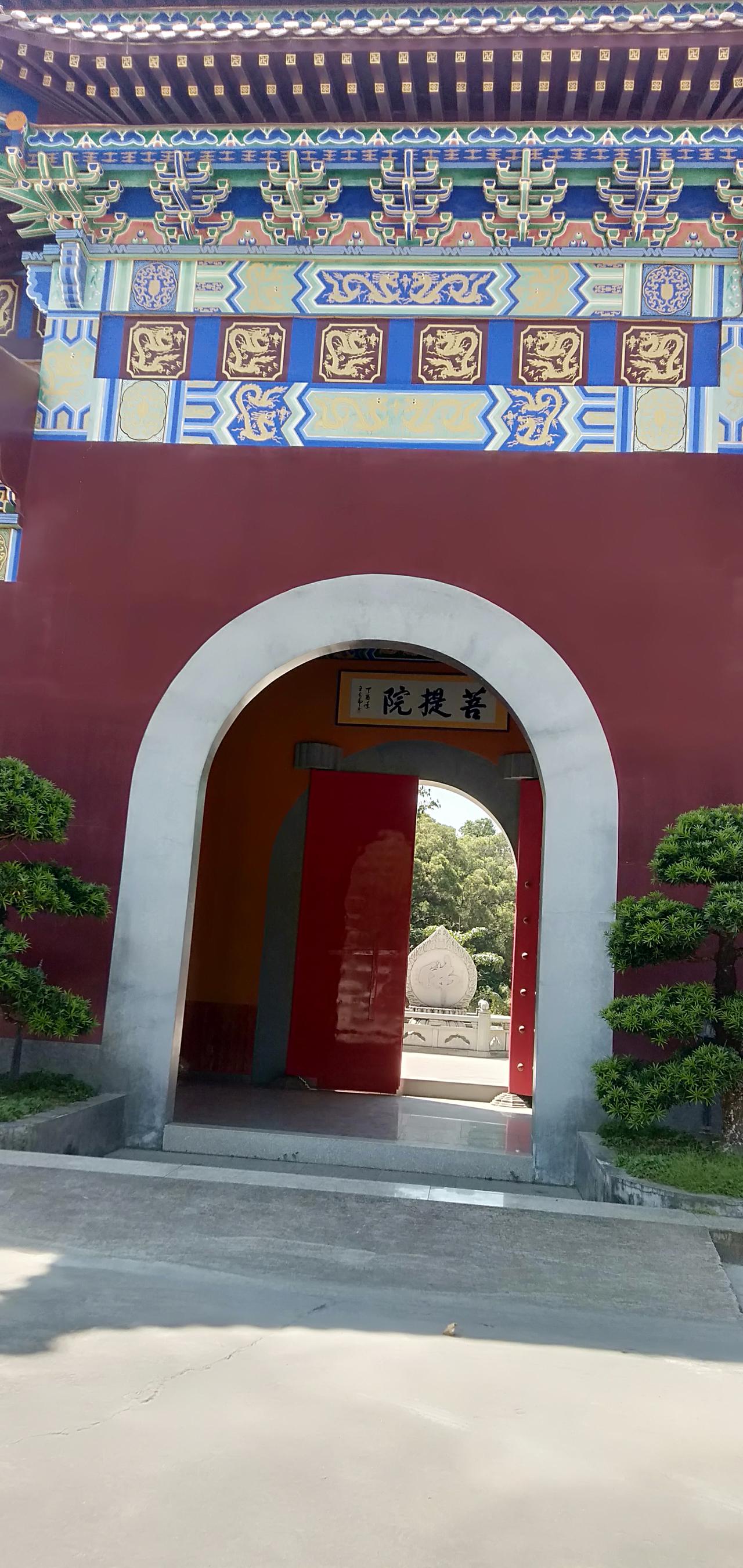 寻幽汕头菩提禅寺，丛林在微风中摇曳，清茶一杯慰遗落，似如脱世到桃源。