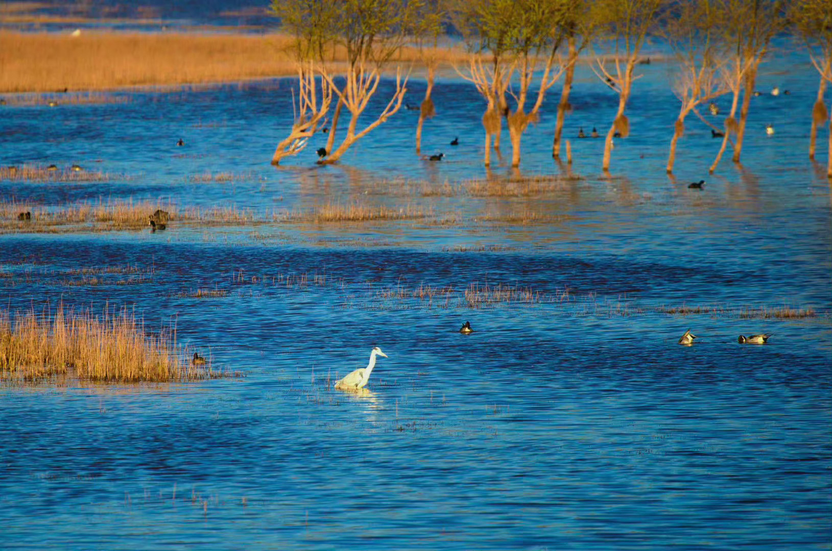 云南·念湖，一个听名字就让人心动的地方。相思而往，一念成湖。 