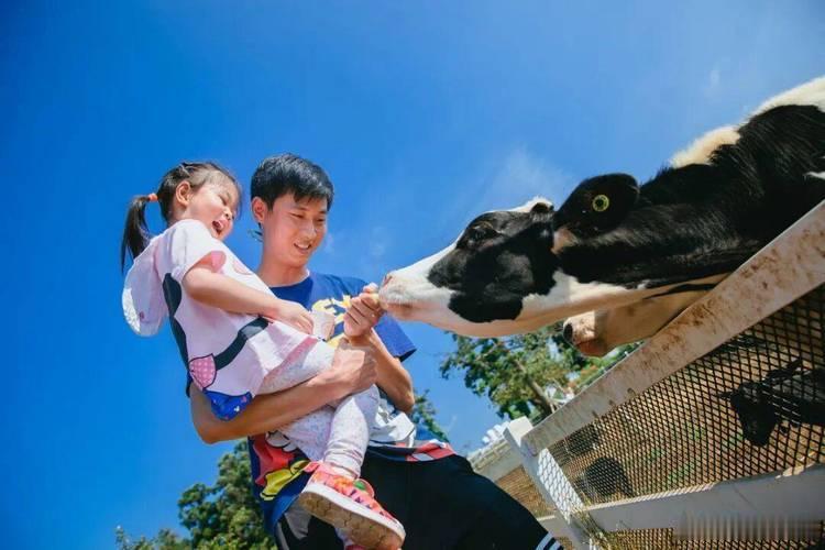 家长月薪3500元请大学生带娃家长是开了“省钱外挂”吗？月薪3500竟敢请大学生