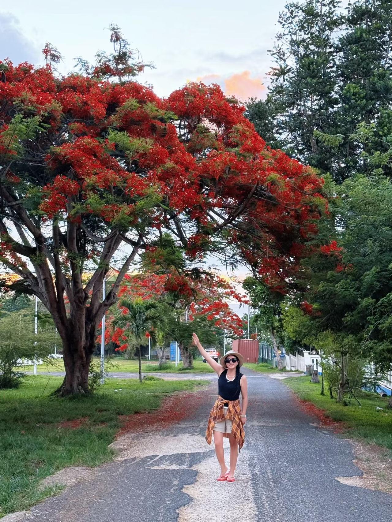 瓦努阿图｜ 🧡 维拉港

维拉港是一座充满热带风情的城市，
随性走走，
20分