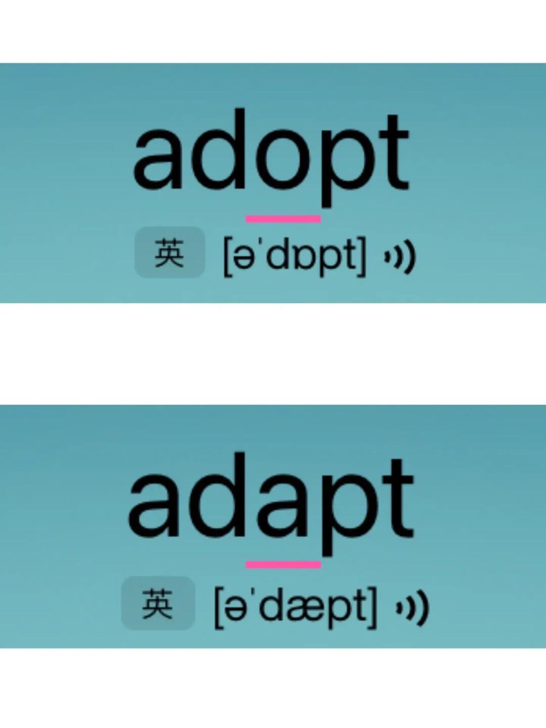 差点没分清“姐妹单词”