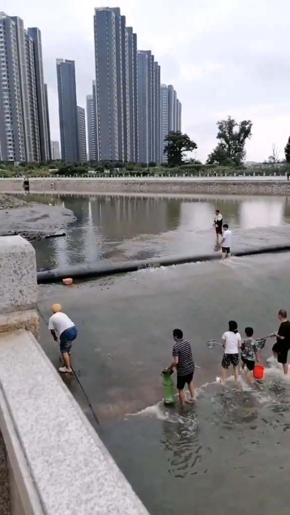 太阳这边的，这边。