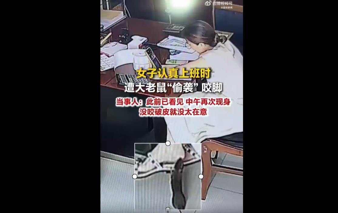2026年6月6日中午，湖南邵阳崔女士在办公室上班时，一只大老鼠突然窜出，偷袭咬