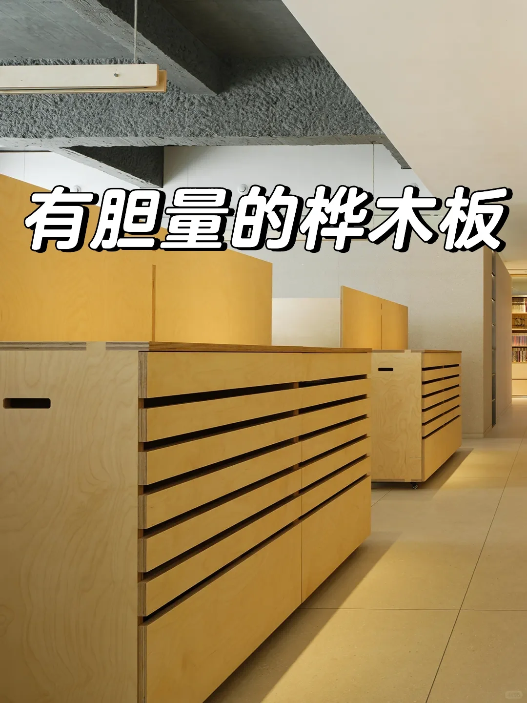 有胆量的桦木板