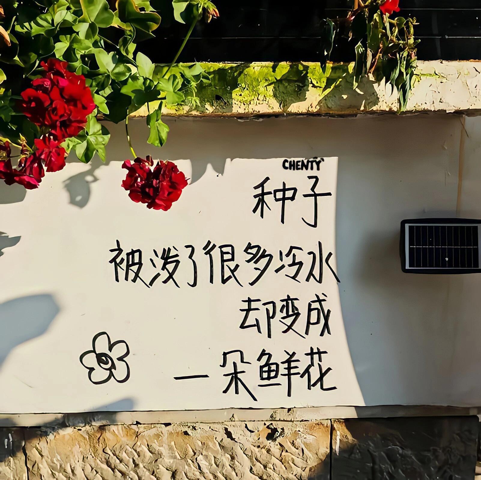 背景图来啦 