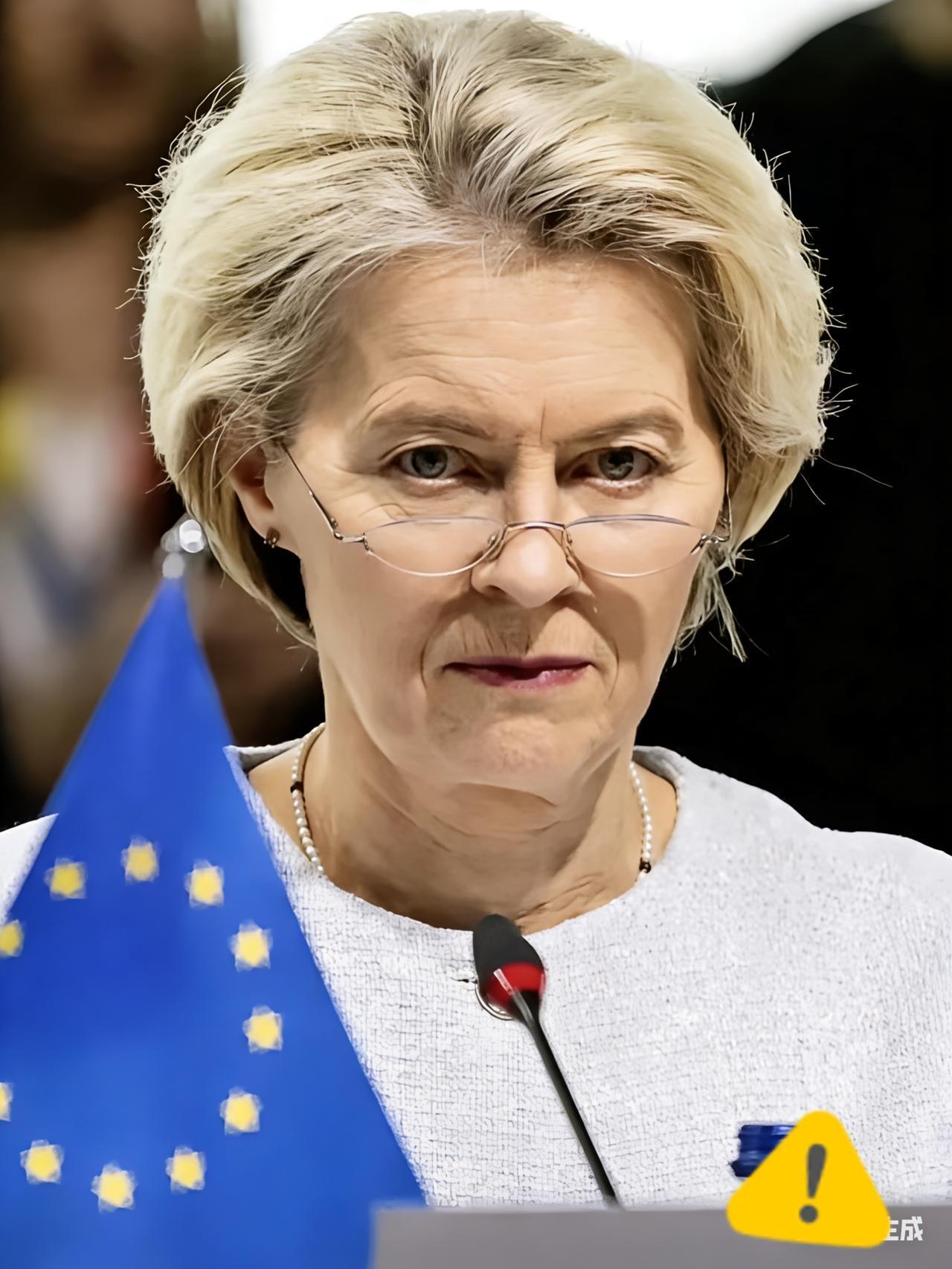 欧盟最终还是选择妥协了！

据联合早报1月12日最新消息，欧盟与北京达成一项重要