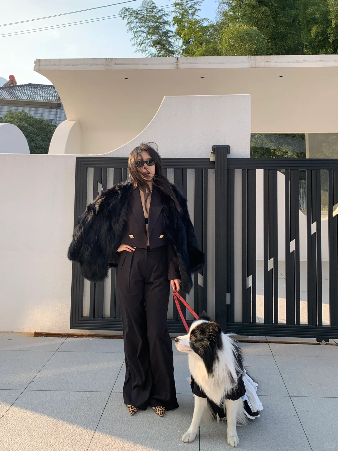 女老板的安保狗🐶