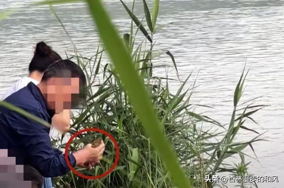 女子劝阻放生反被骂：这哪是积德，分明是缺德

成都胡女士碰上件糟心事。十来个人往