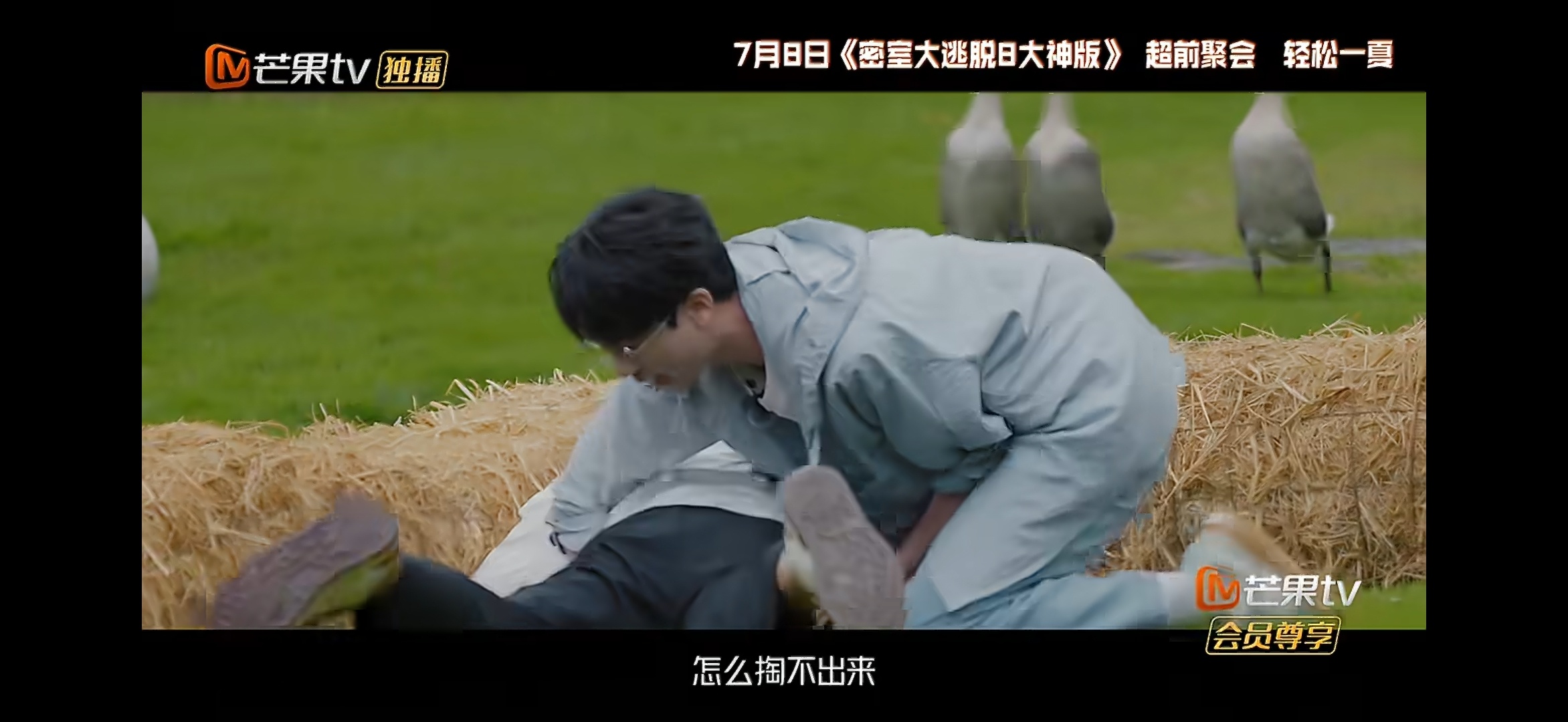我擦这是我家老琴律吗。 