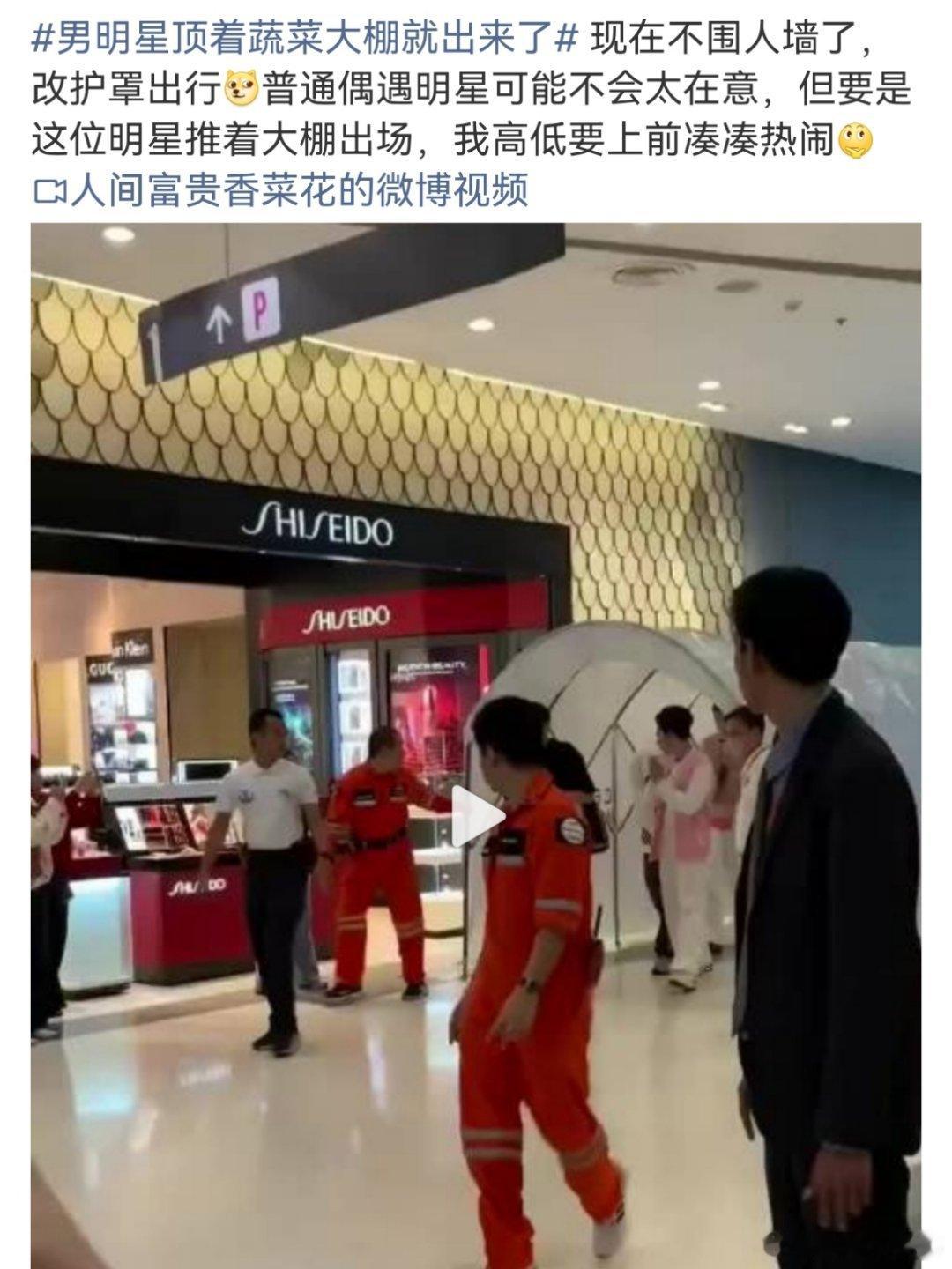 汪海林评论商场里艺人的蔬菜大棚：浴霸男明星顶着蔬菜大棚就出来了 ​​​