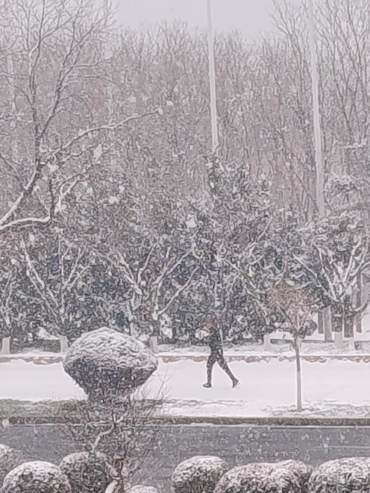男人要自恋暴雪挡不住，你在雪中跑步自拍，我在楼上隔着窗户拍你，羡慕你的好身体好心
