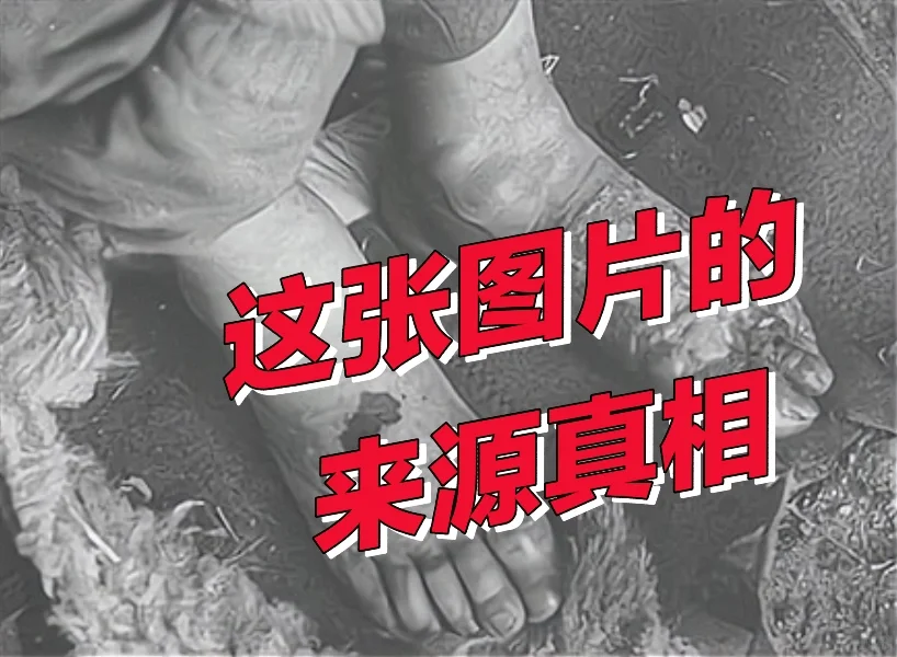这两张图片的来源真相。