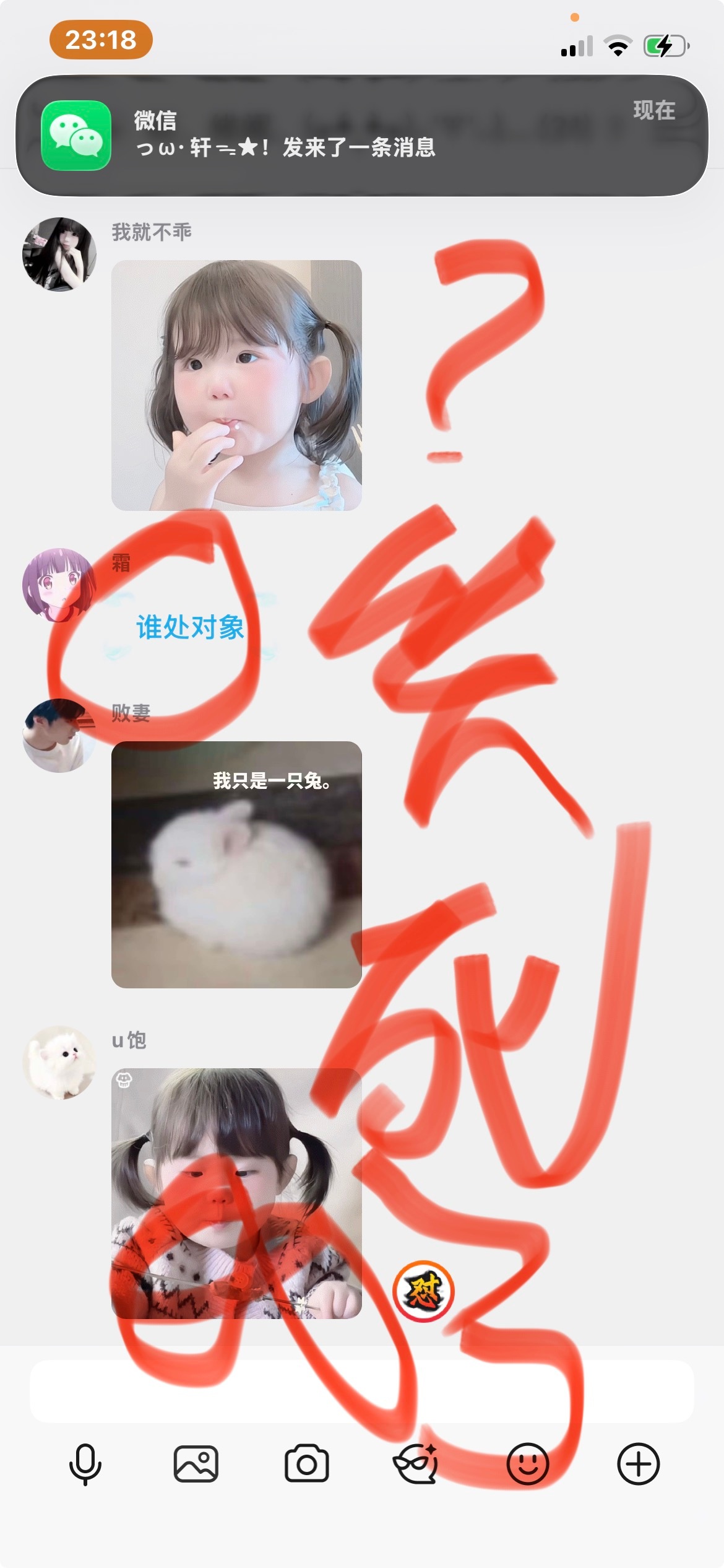 笑死我了笑死我了 