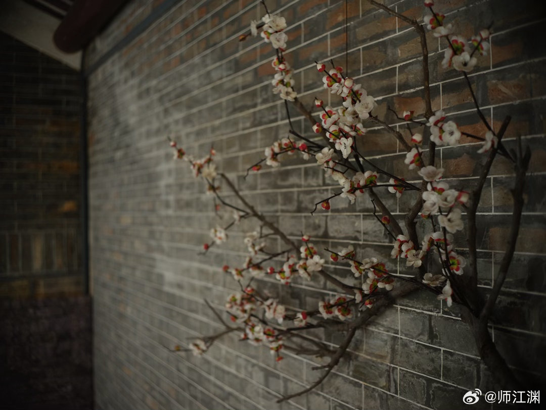 继续分享广州黄埔玉岩书院的园林小景日常记录书院 富士GFX50S R50 2E4