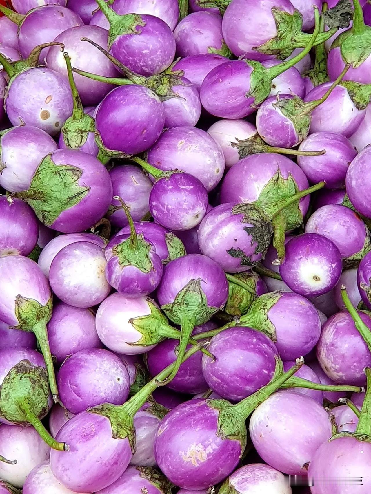 小圓茄／越南蛋茄.泰國小圓茄
小巧可愛的紫色圓形茄子，是東南亞常見的蔬果！