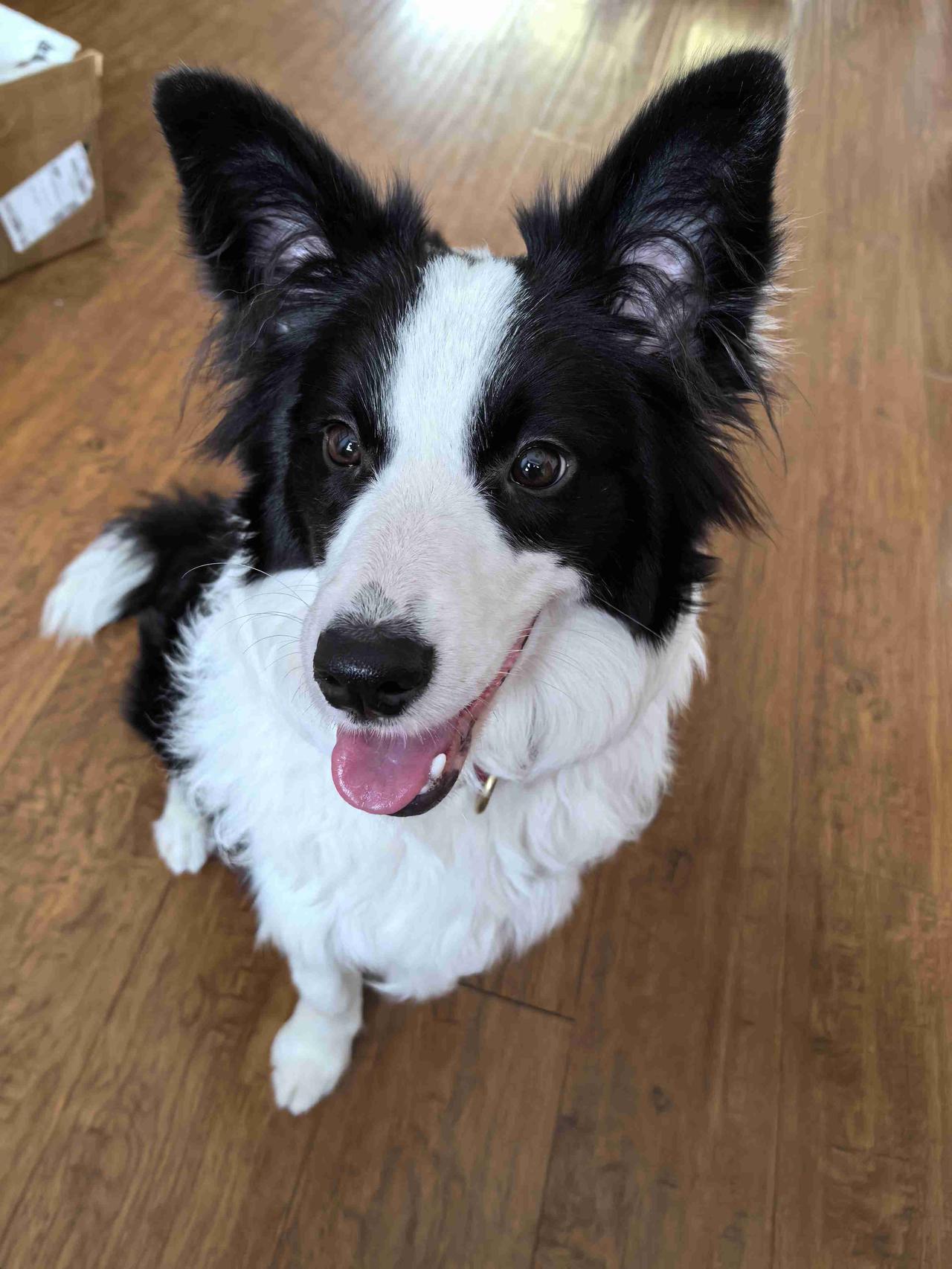 我的今日状态：🥲强颜欢笑
我这里的天气：☀️晴天

女人啊，
到了一定的年纪，