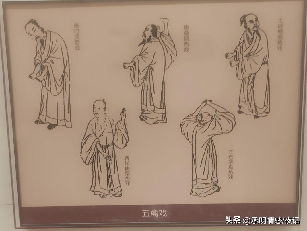 《五禽戏》图解，传承千年养生智慧五禽戏养生法 华佗五禽图