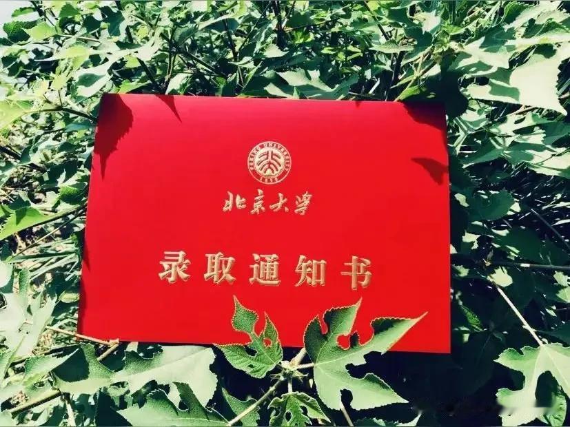 高中毕业生，你家发财了吗？
   高考完了，这几天高考成绩出来了，上了线的毕业生