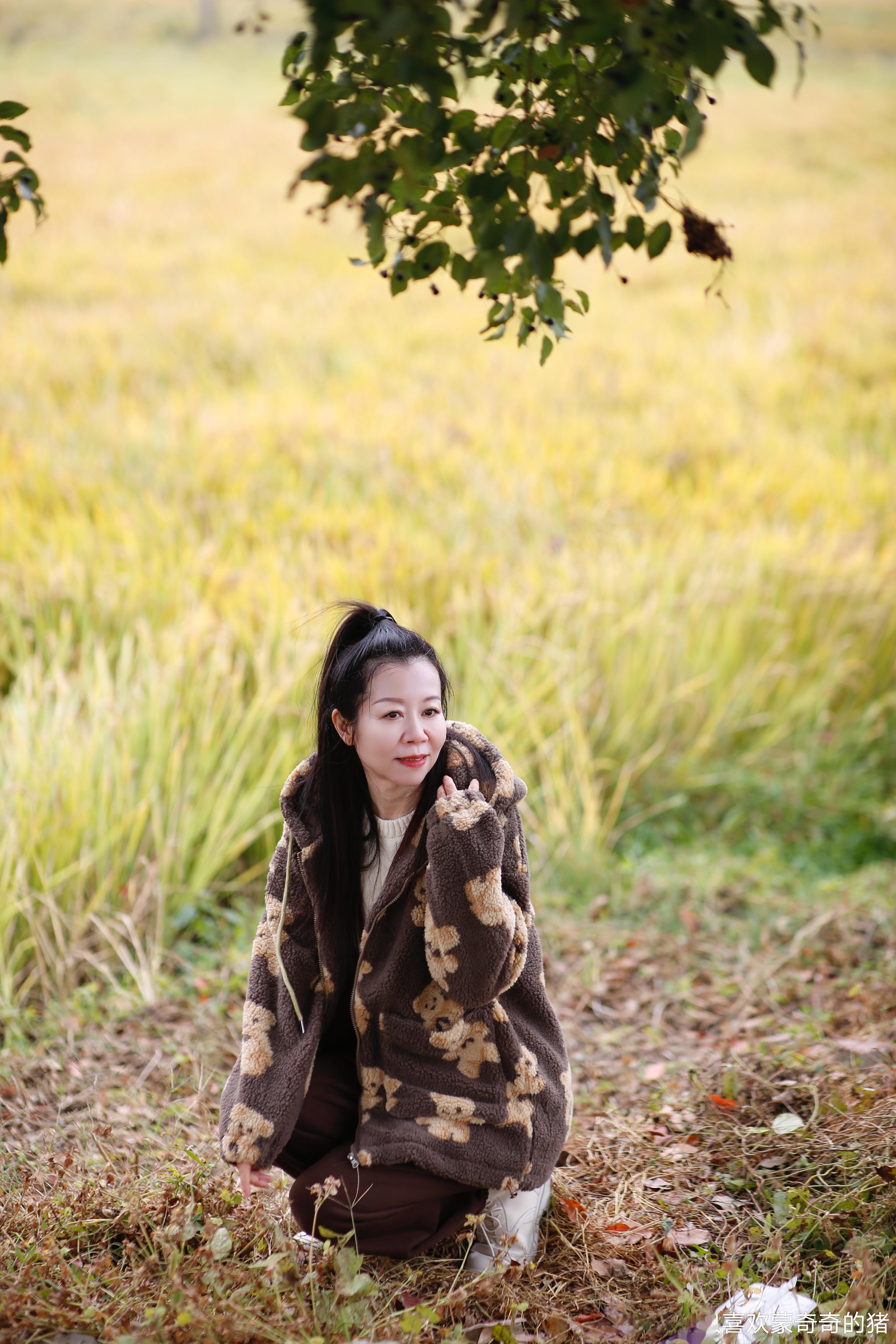 #阿里爬爬拍拍团#2023打卡26～小石洞经湖桥到尚湖边徒步往返突如其来的寒潮把