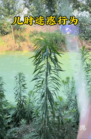 我到现在57岁了，昨天还在玩呢？[捂脸]