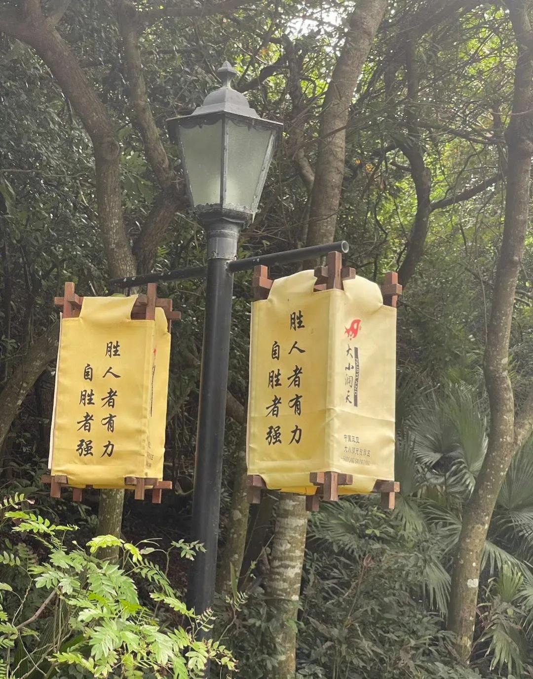 有句话说得好：“我们要改变的，并不是这个世界，而是我们自己。”[鼓掌][鼓掌][
