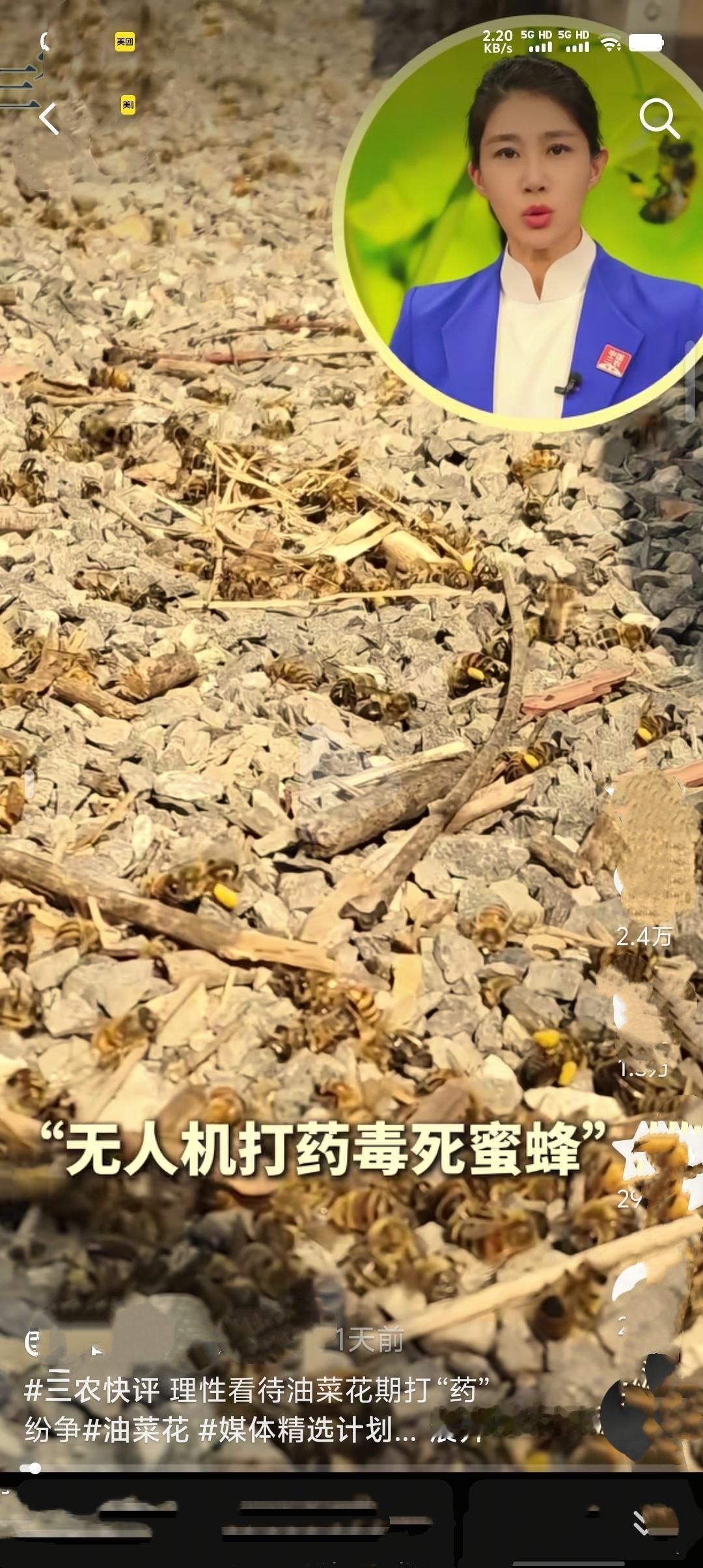 油菜花期打药常引发争议，实则需理性看待。花期打药是为防治病虫害、保障收成，但需选