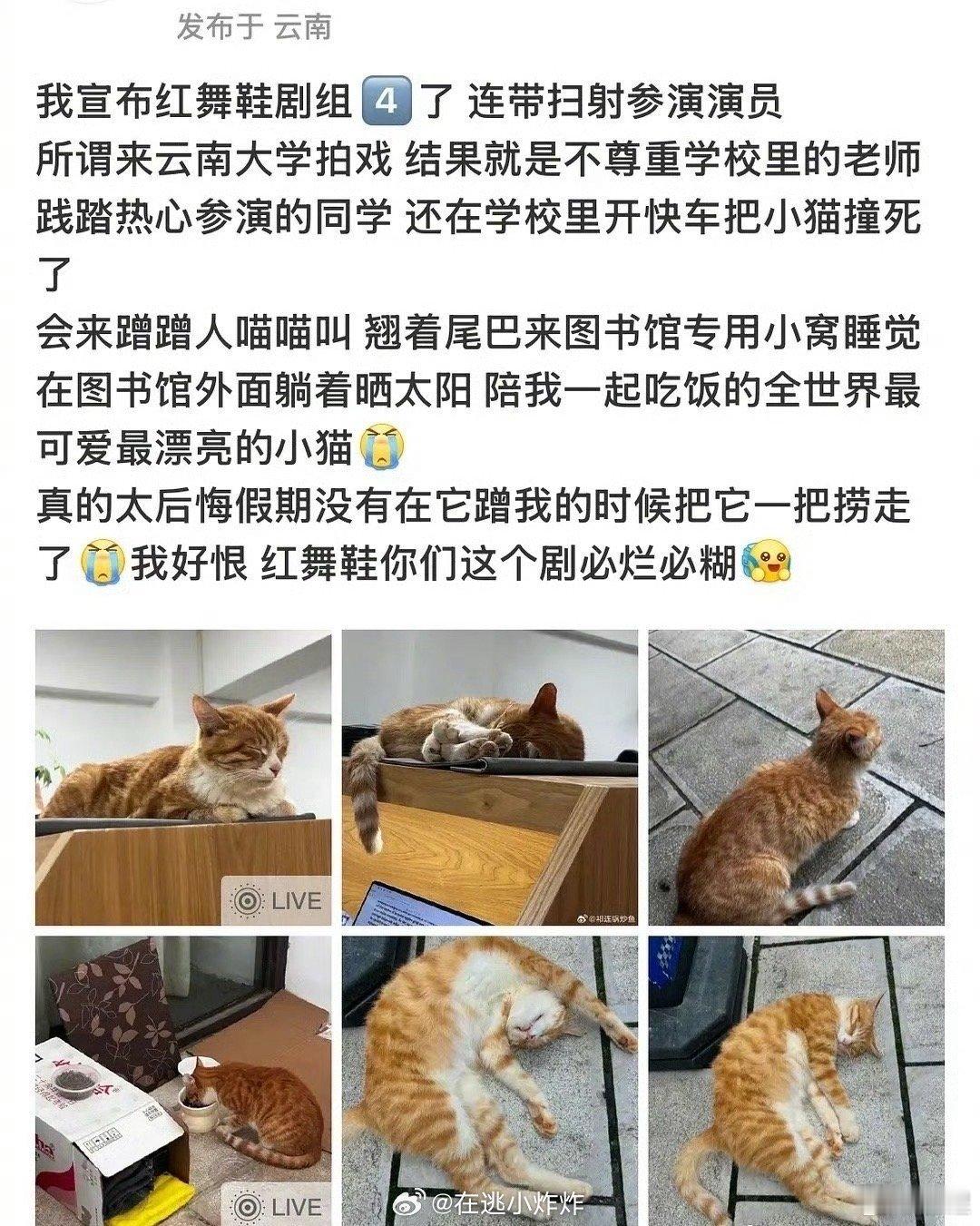 红舞鞋剧组 学校给剧组开方便之门，剧组把学校当什么了…对学生竖中指，这是什么痞子
