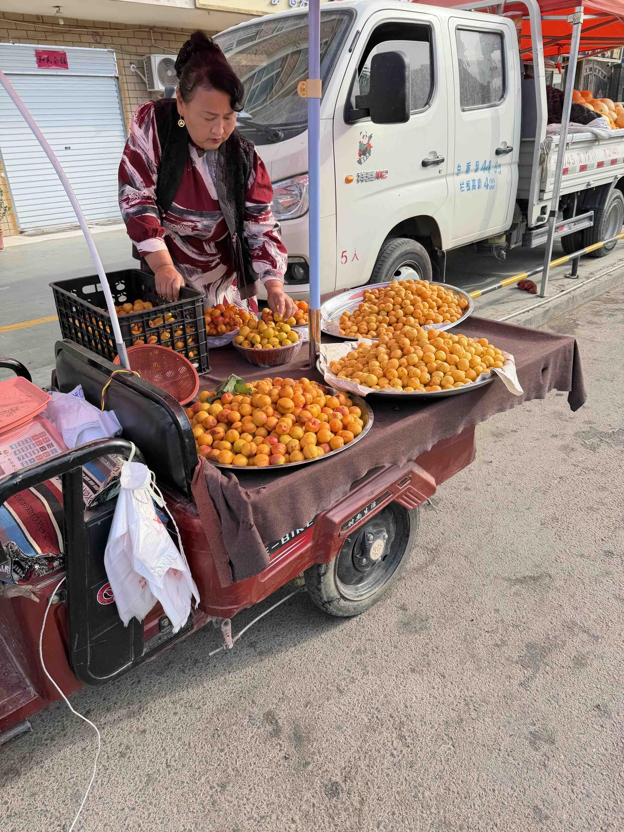 瓜果飘香喀什城
我走在新疆喀什的大街上，瞧见路两边栽满了果树，尤其是桑葚树上的果