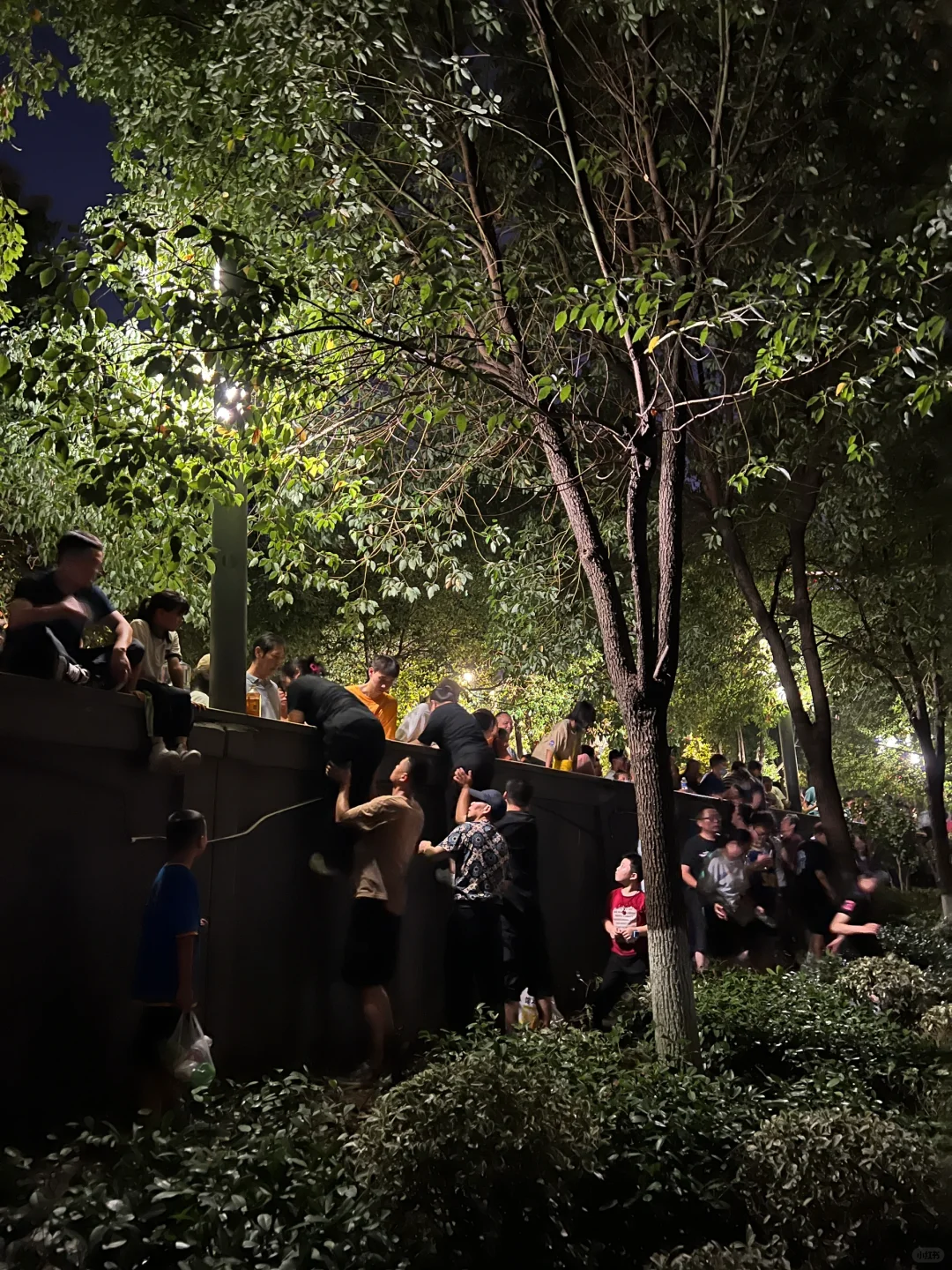 我宣布武汉中秋烟花秀已经是Next Level了