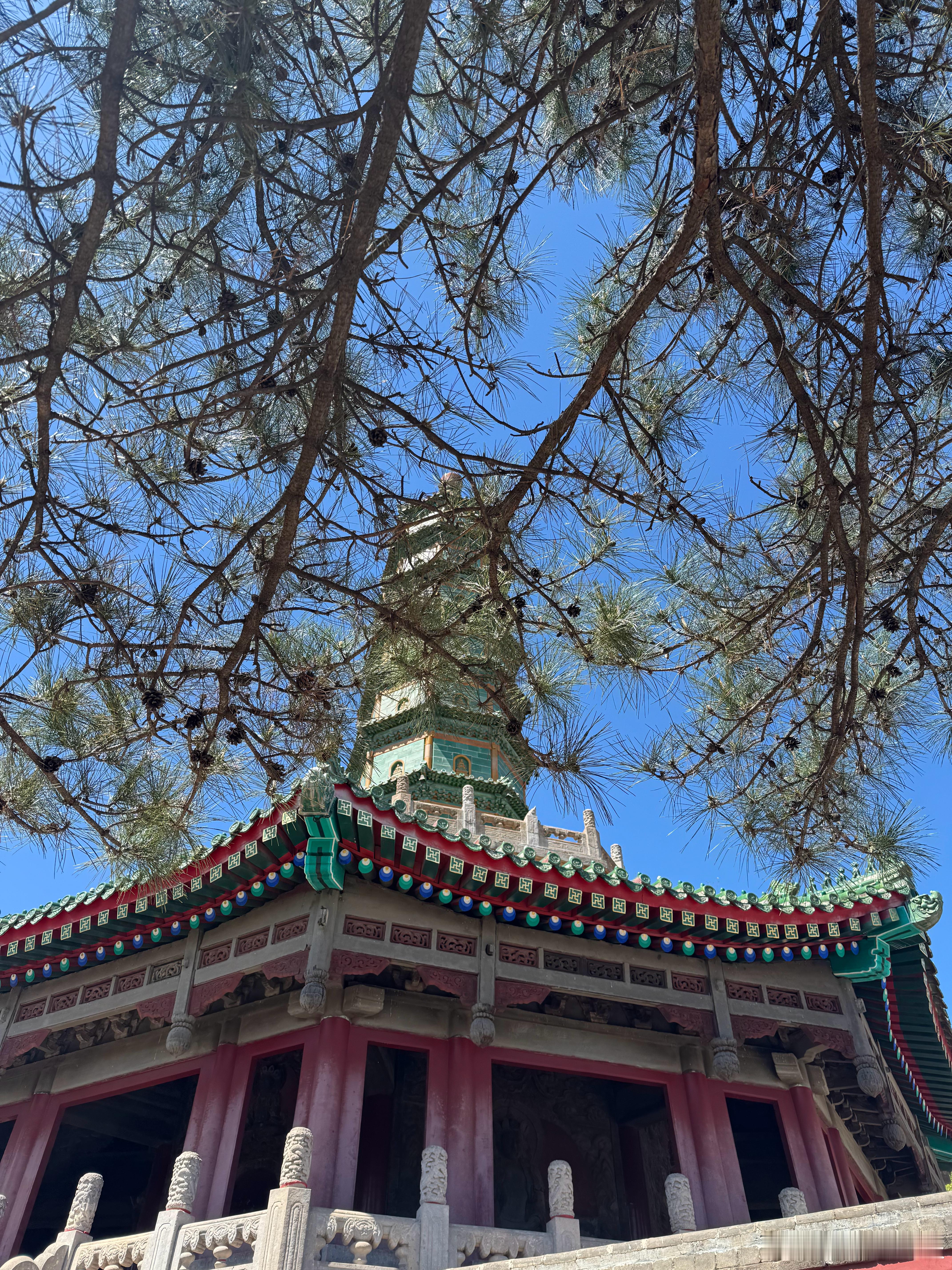 爬个小小须弥山 