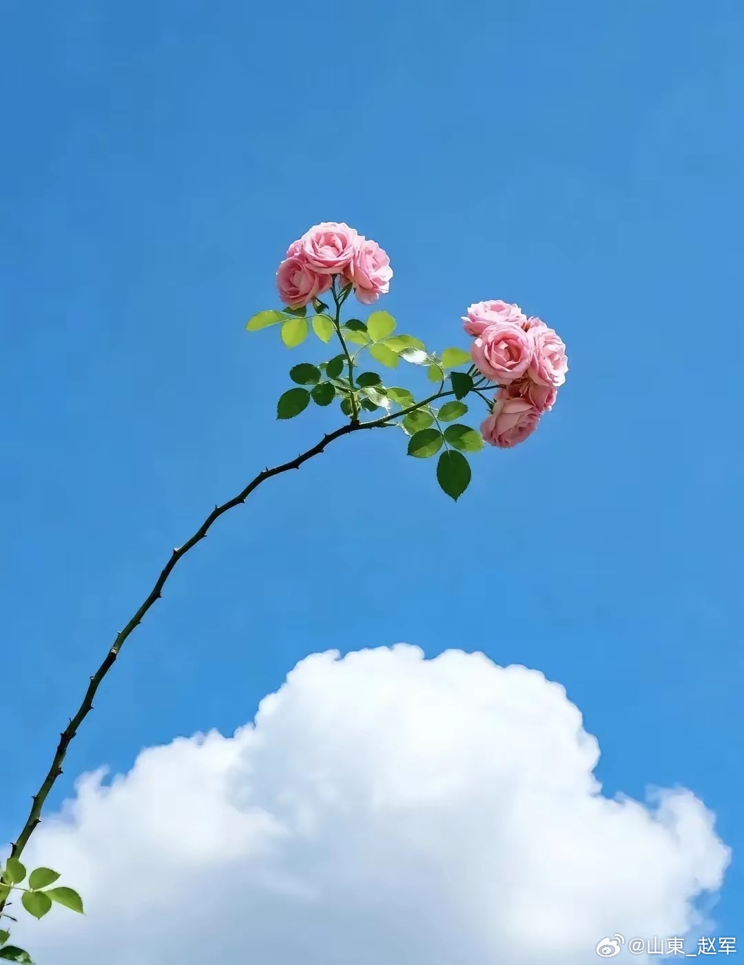 一语道尽本源。观复，是回望初心、返观内照，在纷繁世事里看见本真；归一，是万法归宗