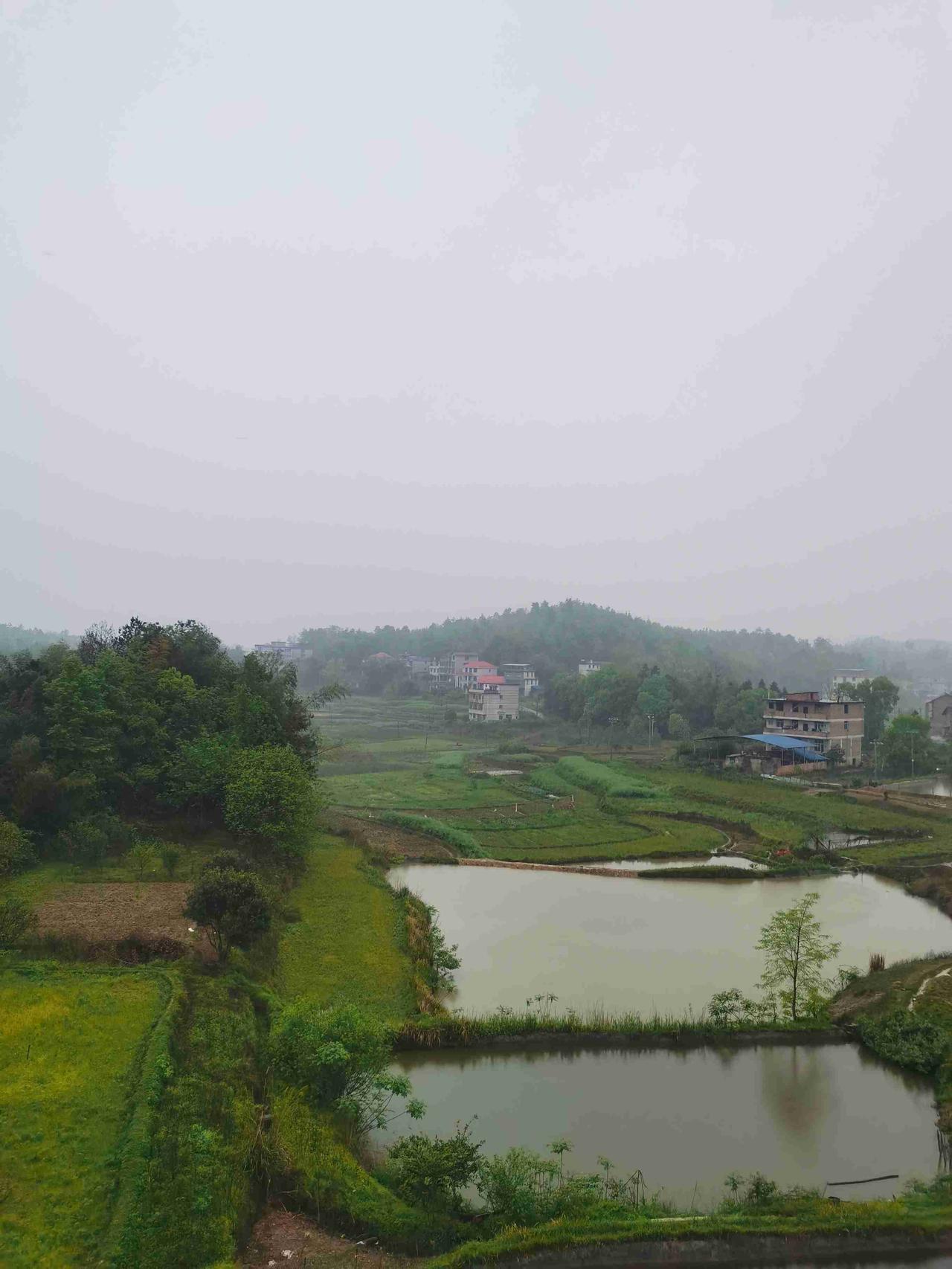 我的今日状态：😁轻松愉快
我这里的天气：🌧下雨

岁月是一场有去无回的旅程，