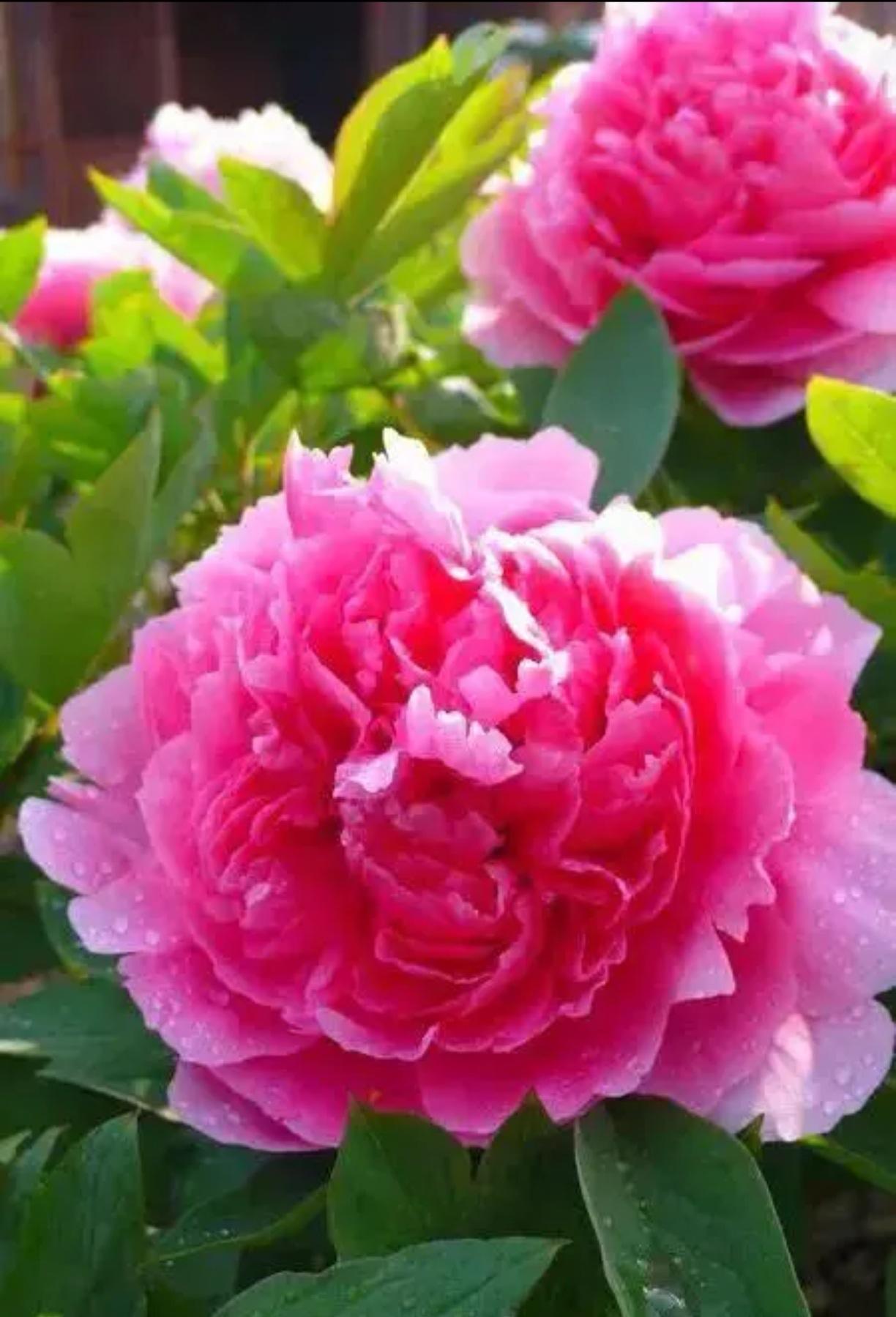 一个邻居，55岁，现在在南方做保安工作，一个月5000多块钱，活不累，就是有点熬