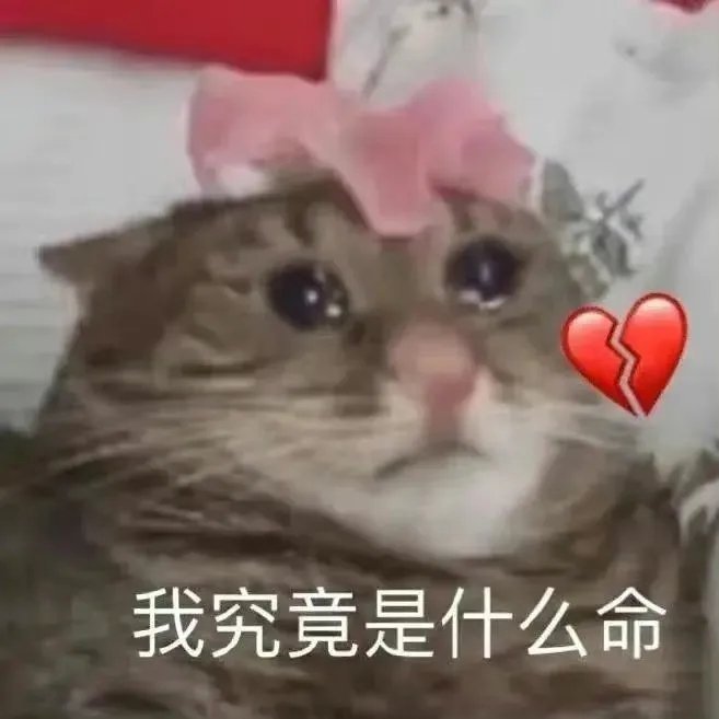给你想发的人发表情包吧 ​​​