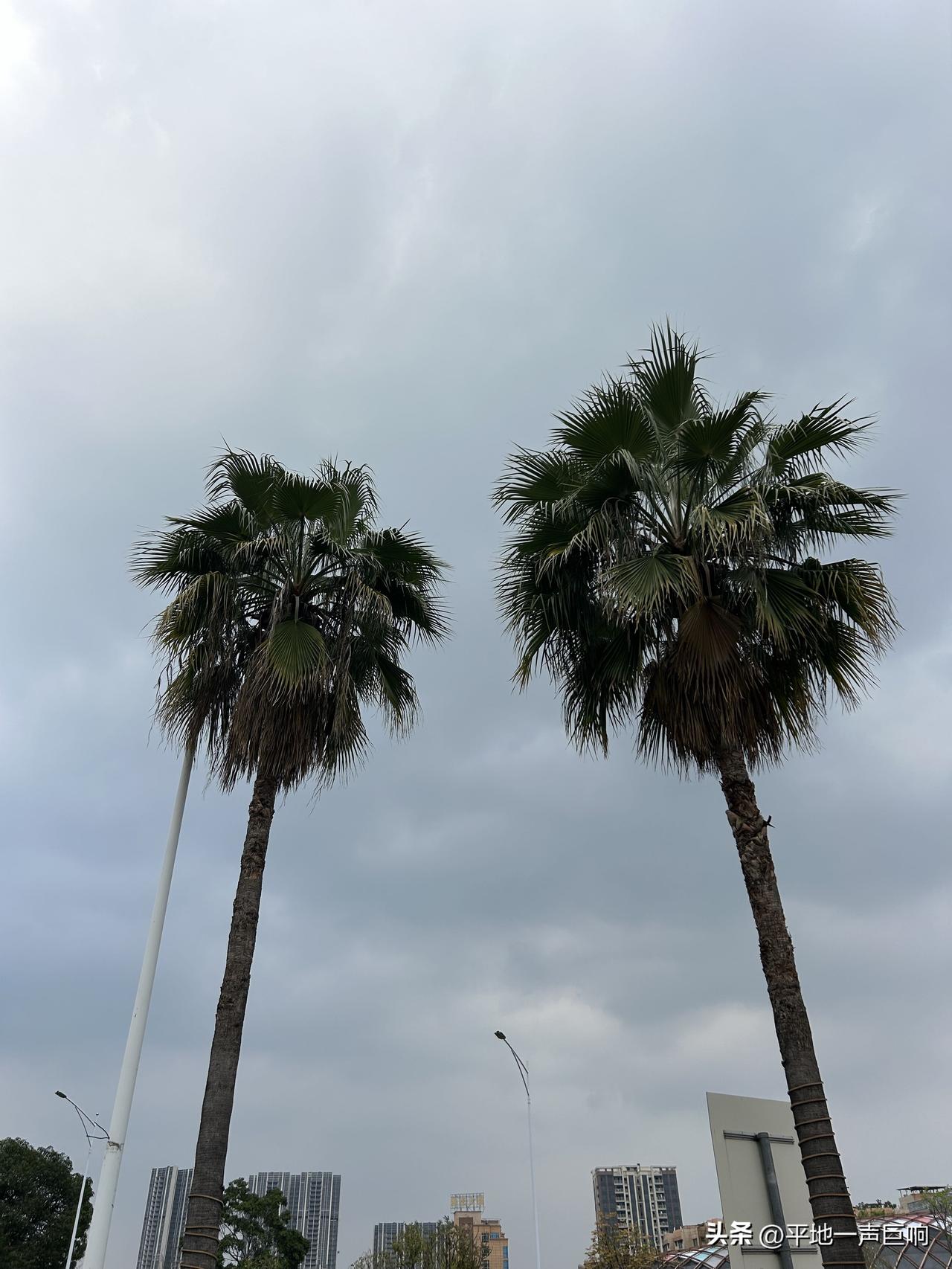 有没有人想过一个问题，

如果把人生当成是一场修行的话，

那么结婚是一种修行，