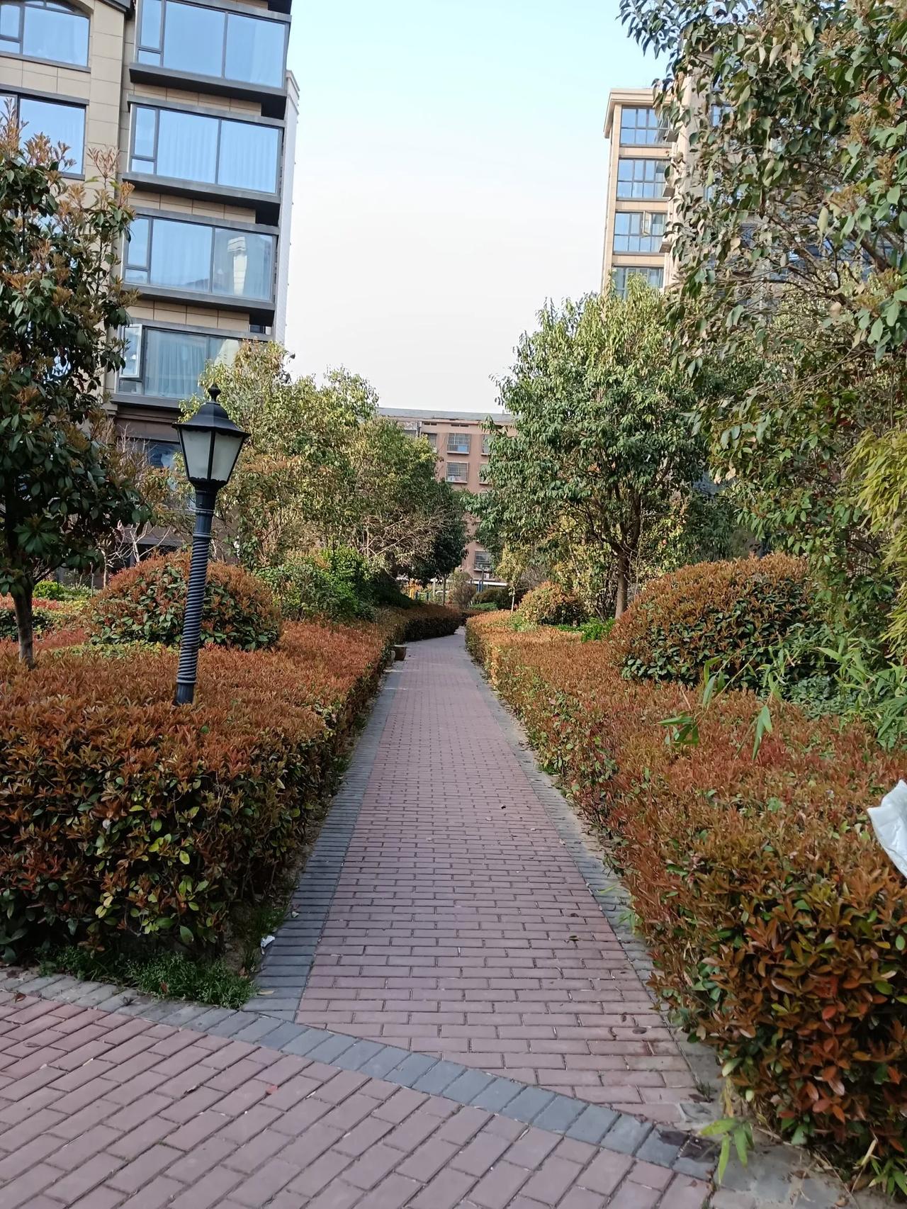 街拍分享商丘