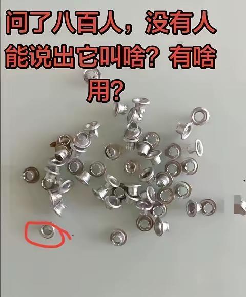 问了十里八村，竟无一人知道这是啥东西，全军覆没，难度系数五颗星，各位才子佳人知道