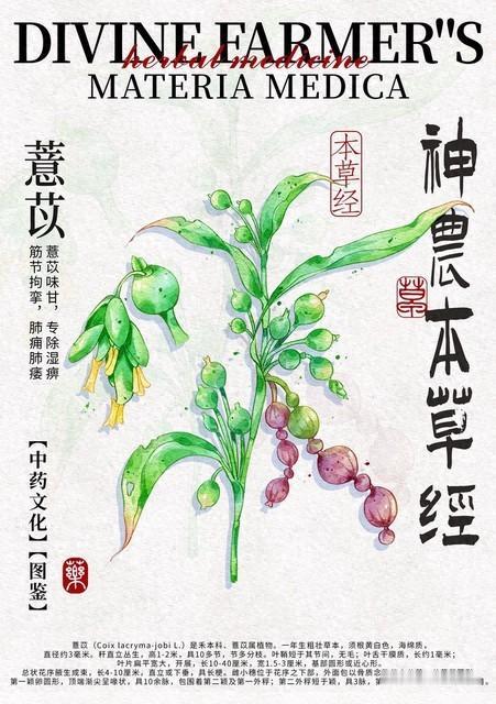 一盒被低估的古方，边通水道，边消增生，夜尿不再起！

很多前列腺增生的朋友，尿频