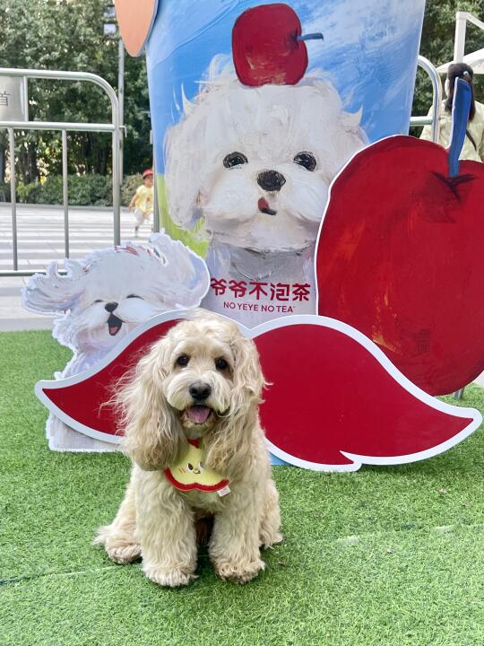 泥嚎 要交个苹友吗？